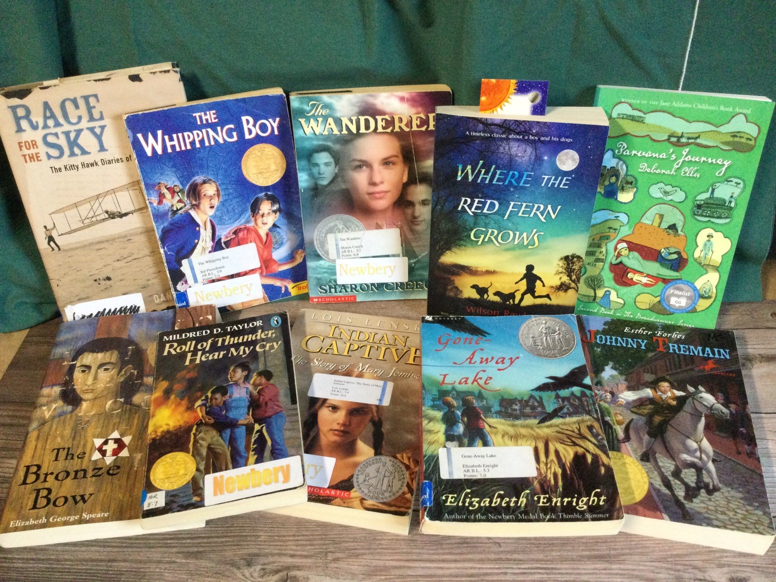 Newbery Honor Chapter Books Lot 10 Homeschool Classroom Teacher Summer Reading