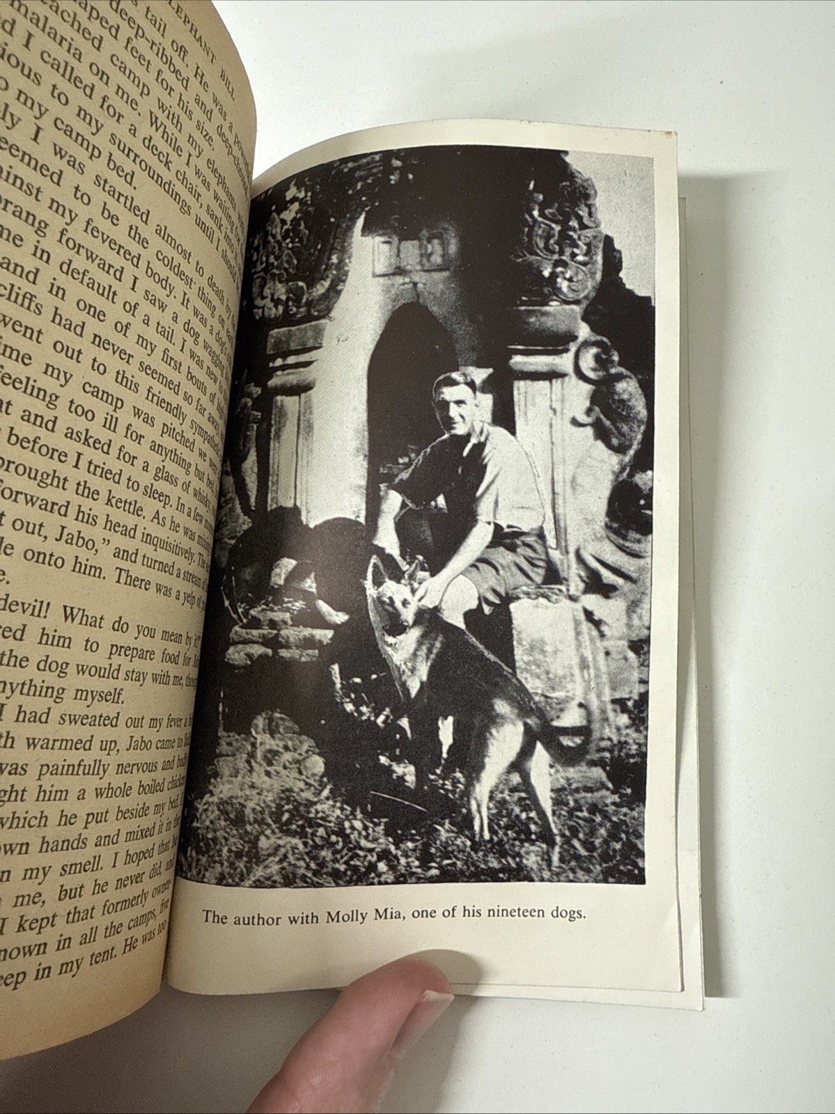 Elephant Bill By J. H. Williams 1954 Pennant 1st Print P36