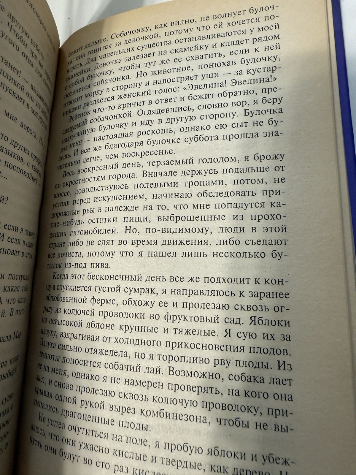 RUSSIAN BOOK Реквием. Большая скука | Райнов Богомил Николаев