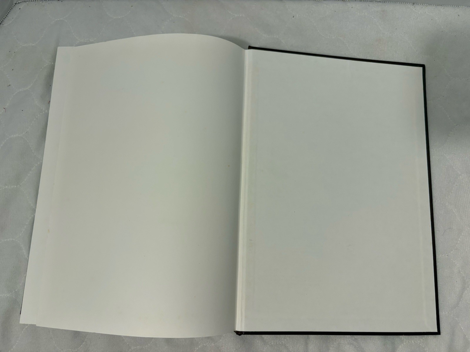 My Catholic Faith: A Manual of Religion (Traditional Catechism in Pictures) 1994
