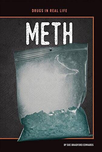 Meth (Drugs in Real Life) – Library Binding By Edwards, Sue Bradford – GOOD