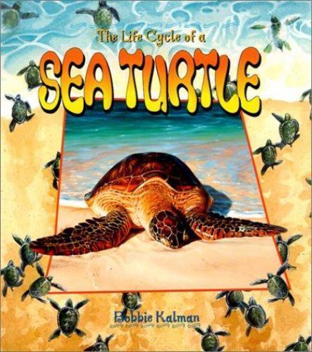 The Life Cycle of a Sea Turtle – 9780778706823, Bobbie Kalman, paperback