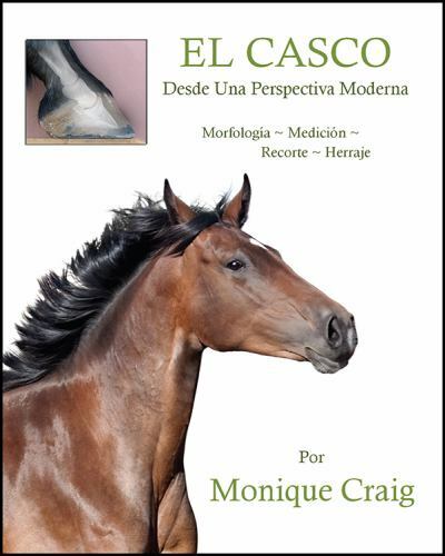 EL CASCO…Desde Una Perspectiva Moderna, Brand New, Free shipping in the US