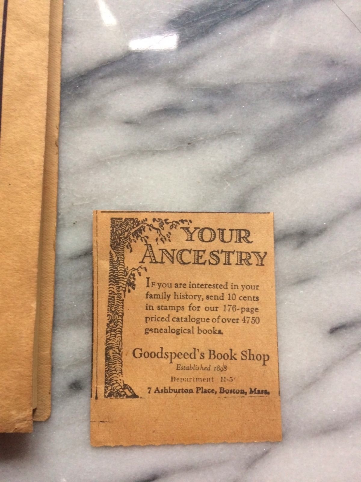 ANTIQUE NEW HAMPSHIRE 1925 THE WILLEY SLIDE HISTORY LEGEND ROMANCE ILLUSTRATED