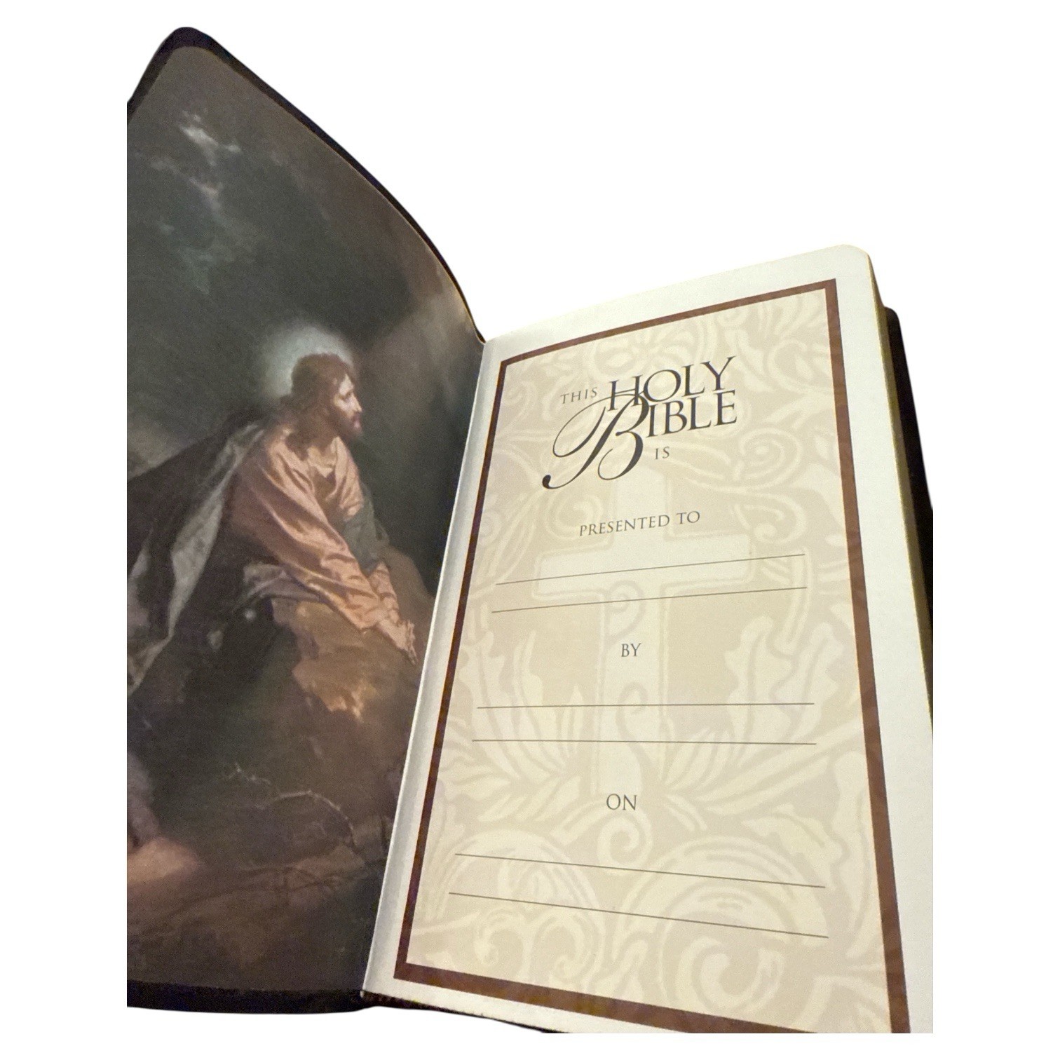 Holy Bible King James Version With Helps Zondervan 2000 Red Letter