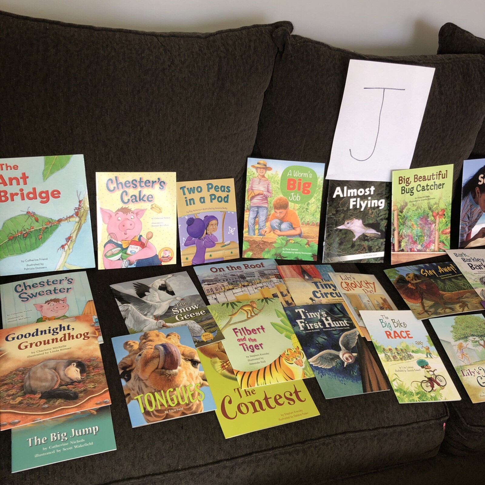 10 Books $15. Second Grade Reading Level TEACHER/SCHOOL LITERACY Free Ship