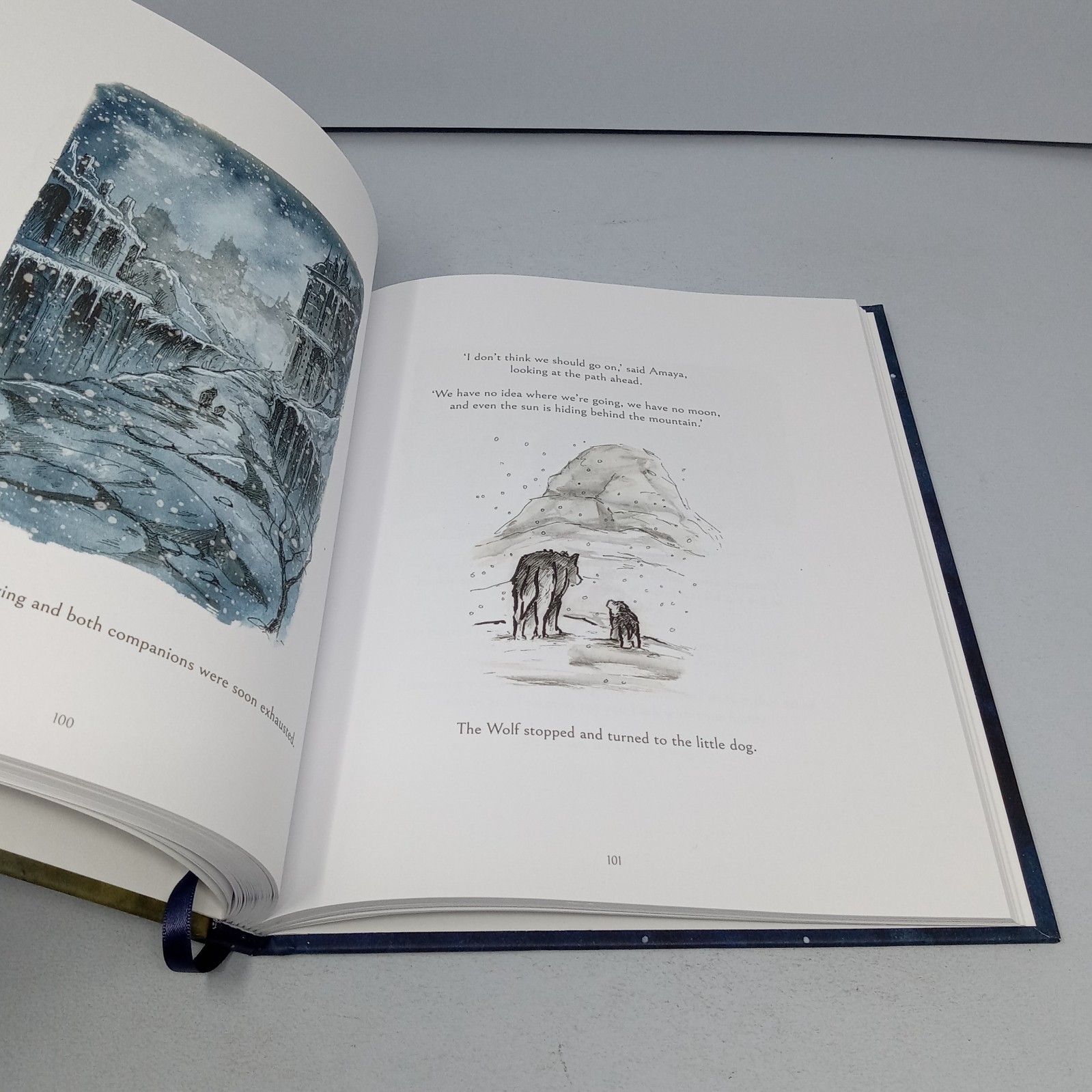 The Dog Who Followed the Moon: 2024 William Morrow Hardcover by James Norbury