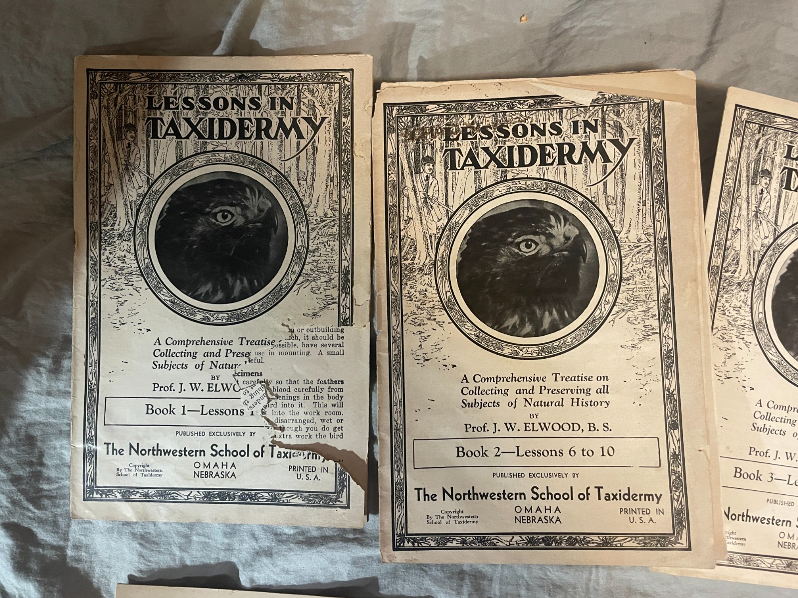 J.W. Elwood 1905 Lessons in Taxidermy Books 1 2 3 4 7 8 9 Vintage