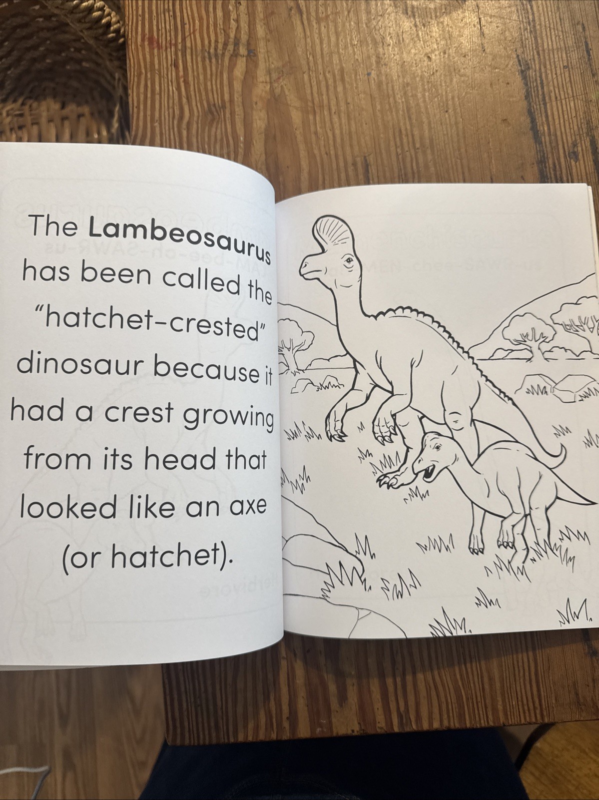 Dinosaur Coloring Book for Kids: Great Gift for Boys and Girls, Ages 4-8