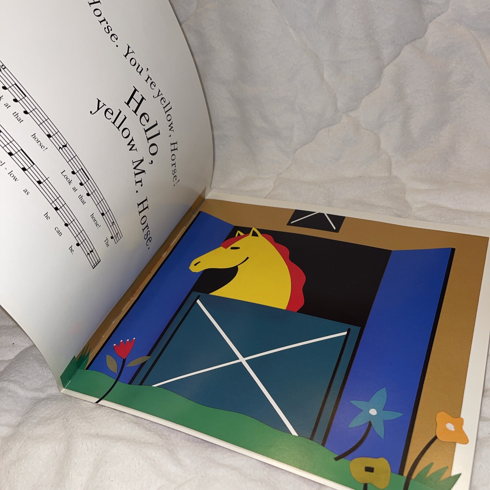 ANIMAL SERENADE By Susan James Frye Paperback Book Kinder music Library