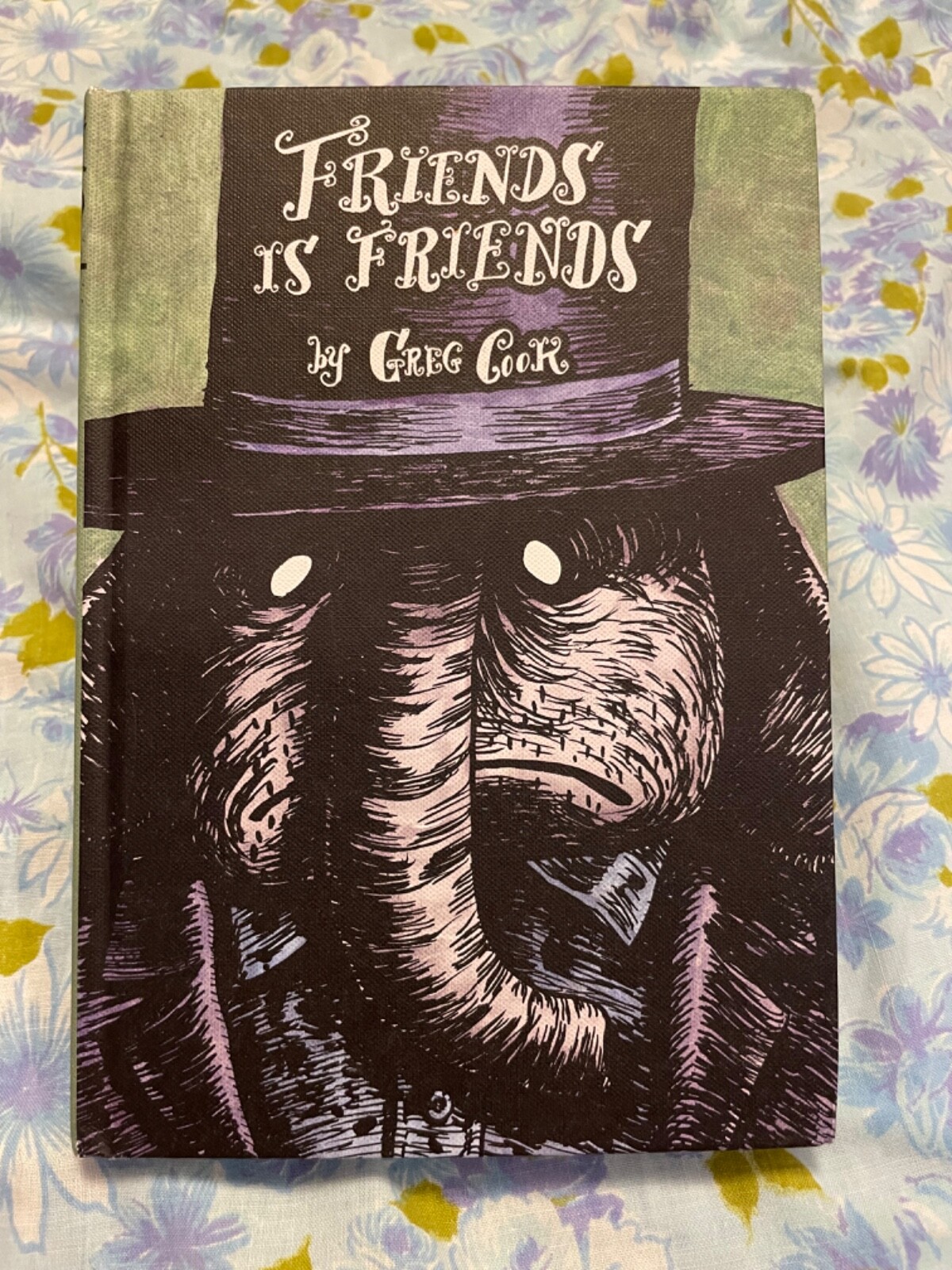BOOK Friends is Friends Greg Cook First Edition 2016 Graphic Novel Roaring Brook