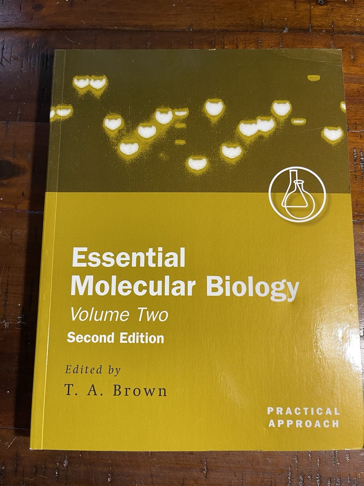 Essential Molecular Biology : A Practical ApproachVolume II