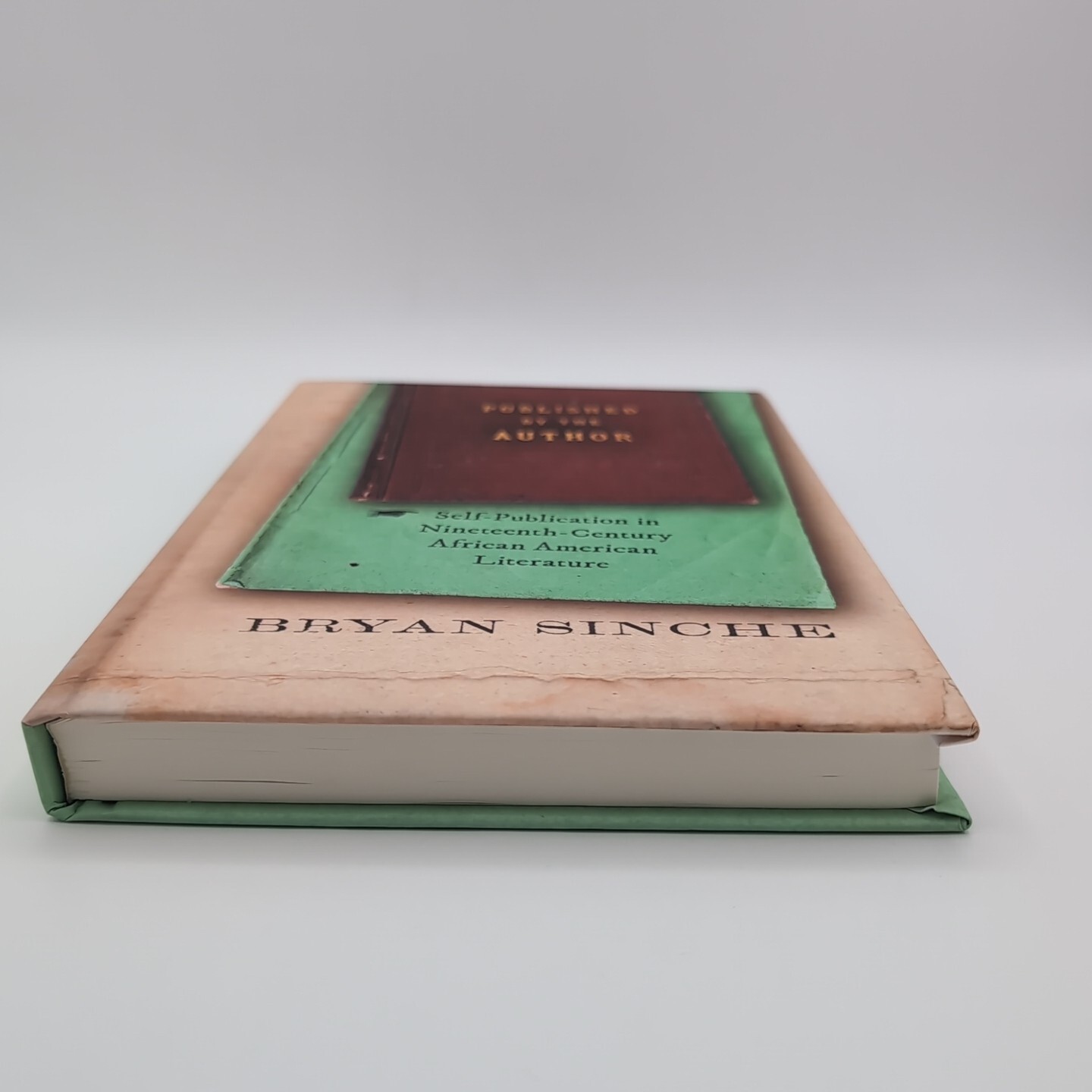 Published by the Author: Self-Publication in Nineteenth-Century African A… HC