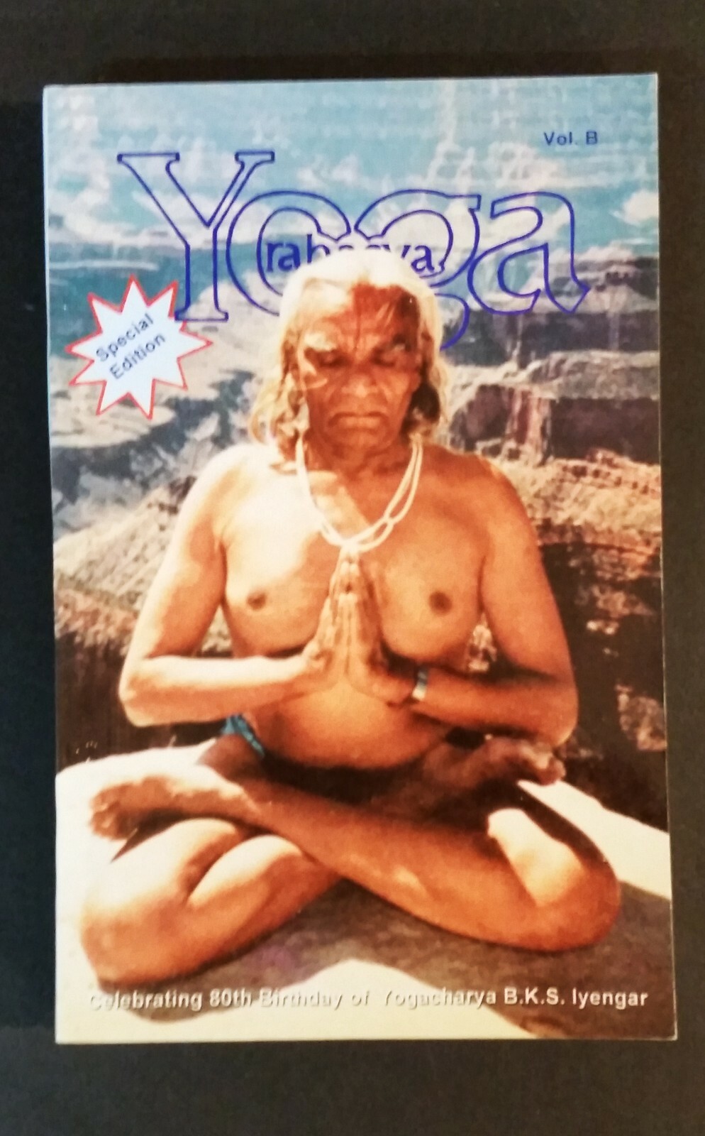 Yoga Rahasya Volume B – pb