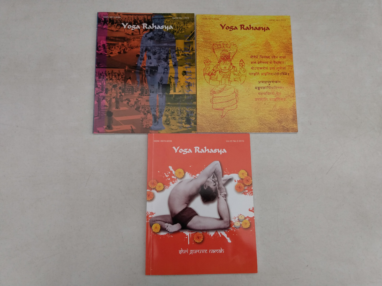 Yoga Rahasya Journal Lot Gurus Teachers True Stories Spirituality Vol 22 2015