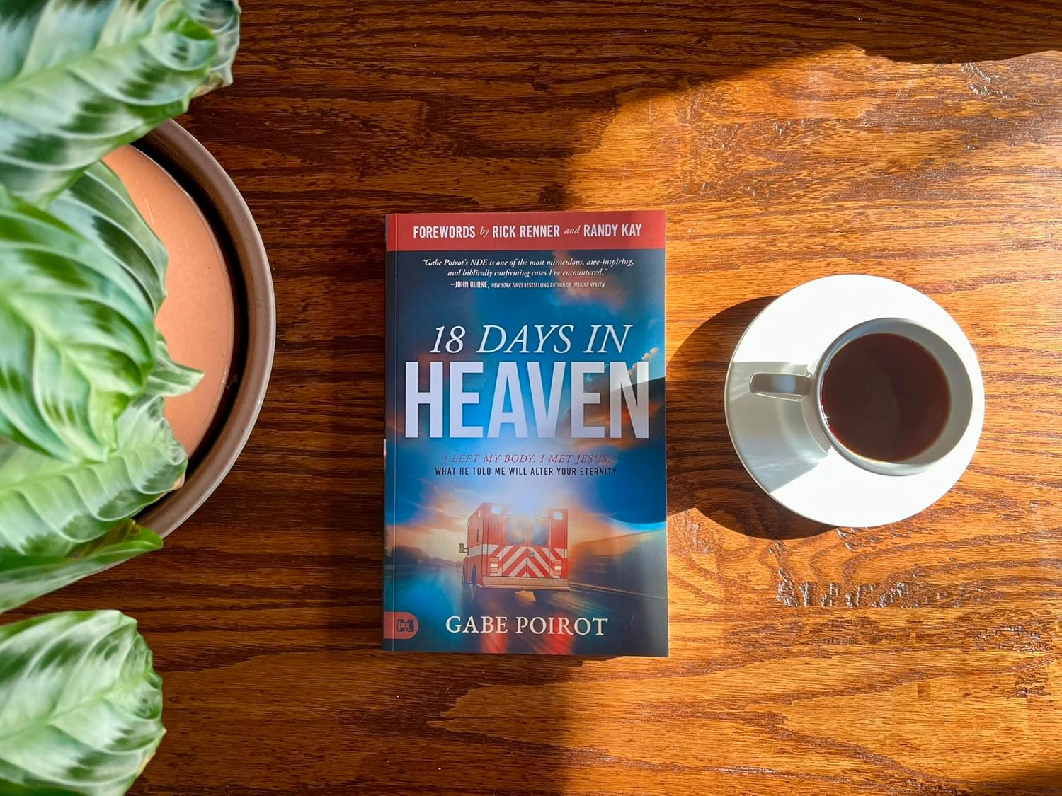 Near Death Experience Book 18 Days in Heaven Paperback True Story Faith Jesus