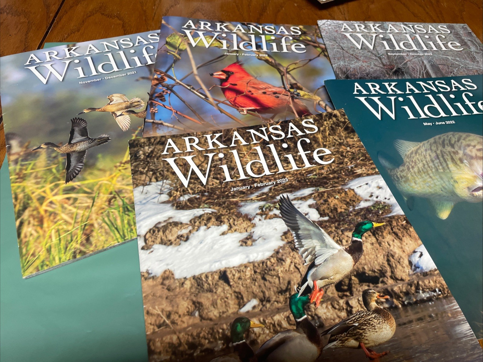 Lot of 5 Arkansas Wildlife Magazine 2023 22’ 21’ Nice