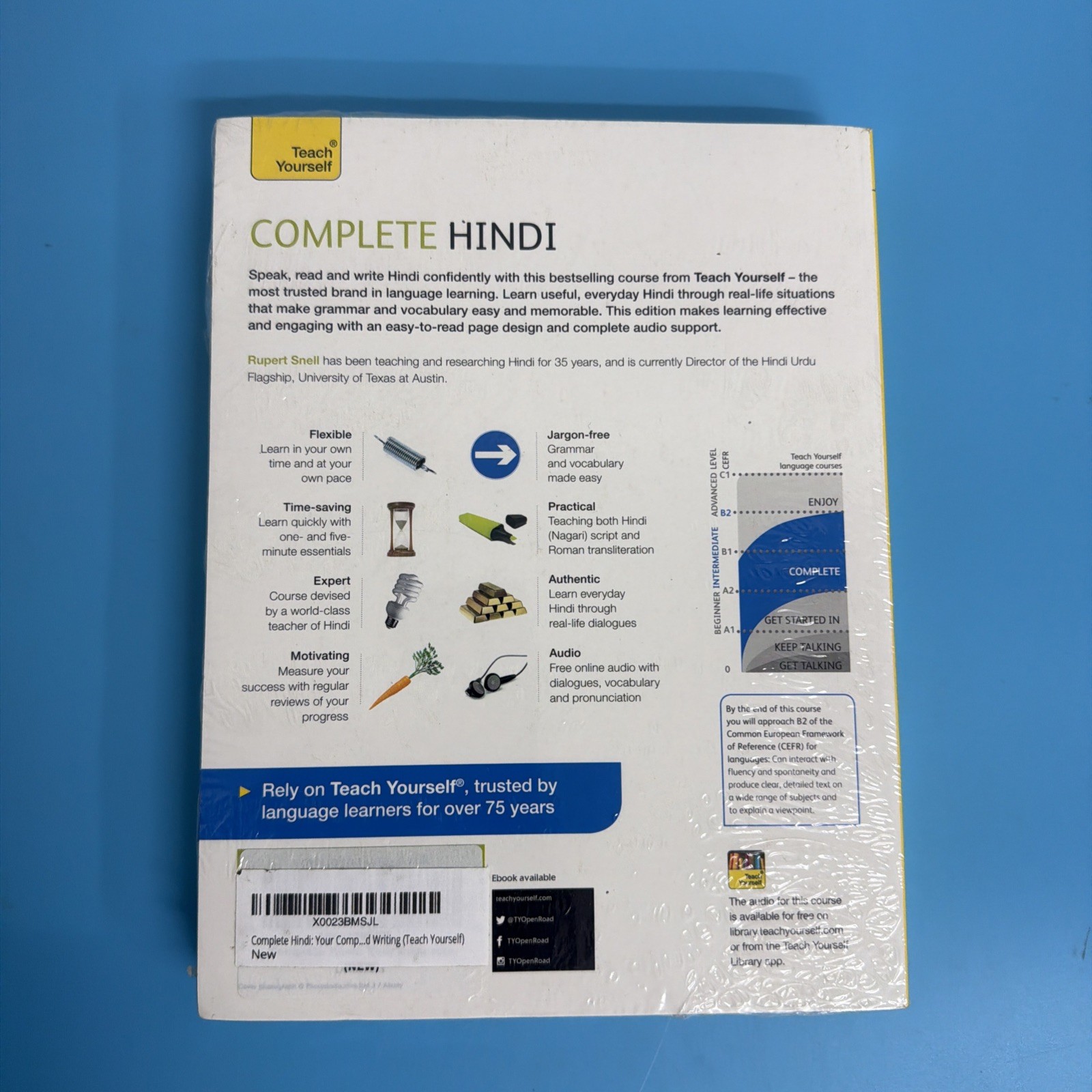 Complete Hindi: Your Complete Speaking, Listening, Reading and Writing (Teach Y