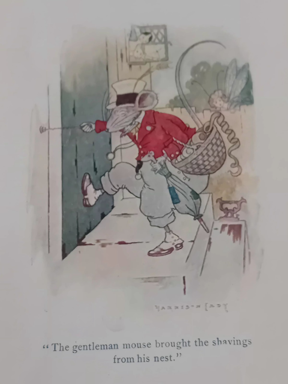 1st Edition 1907 Frances Hodgson Burnett Racketty – Packetty House Warne & Co HB