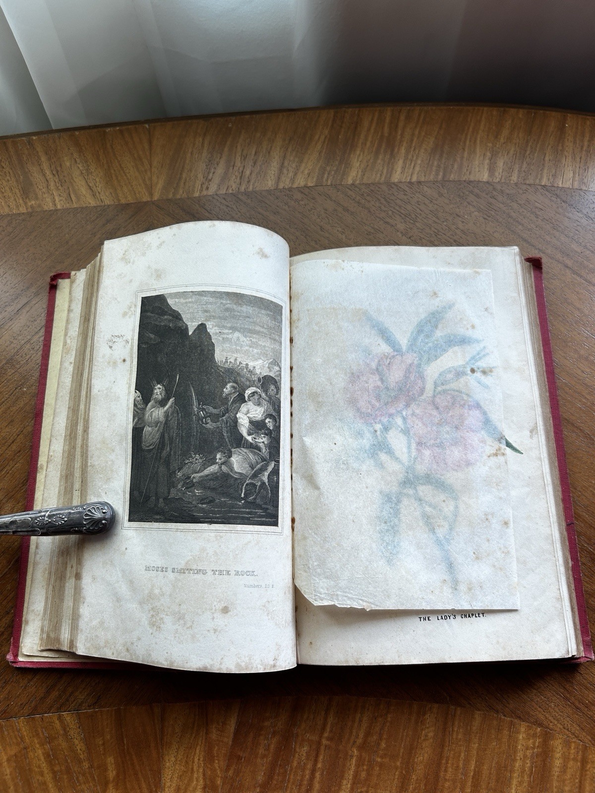 Family Annual Gift Book 1853 Hand Colored Flower Plates Cyrus Stone Pretty Book