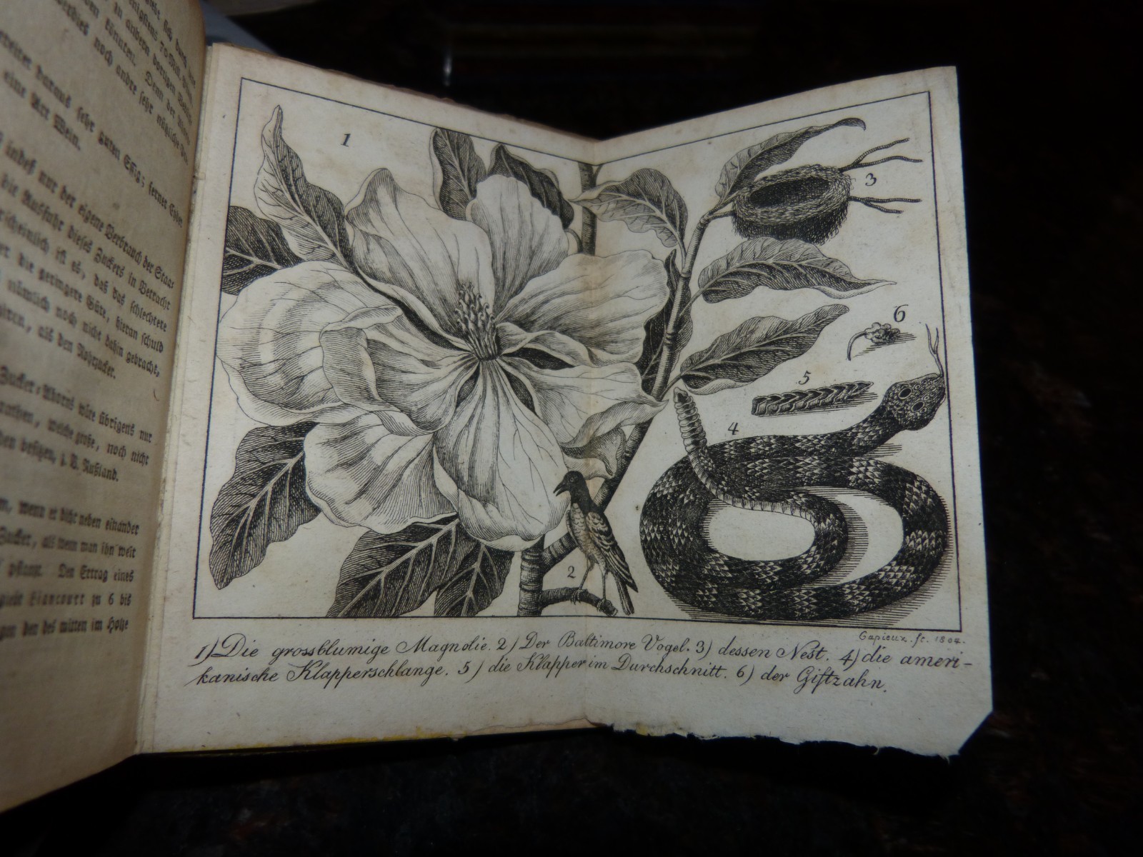 Antique German 1805 Taschenbuch Der Reisen Travel Book Von Zimmermann W Map