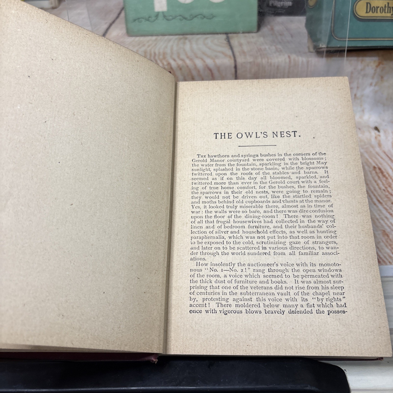 THE OWL’S NEST By: E. Marlitt, Translated From German By: Hettie Miller Undated
