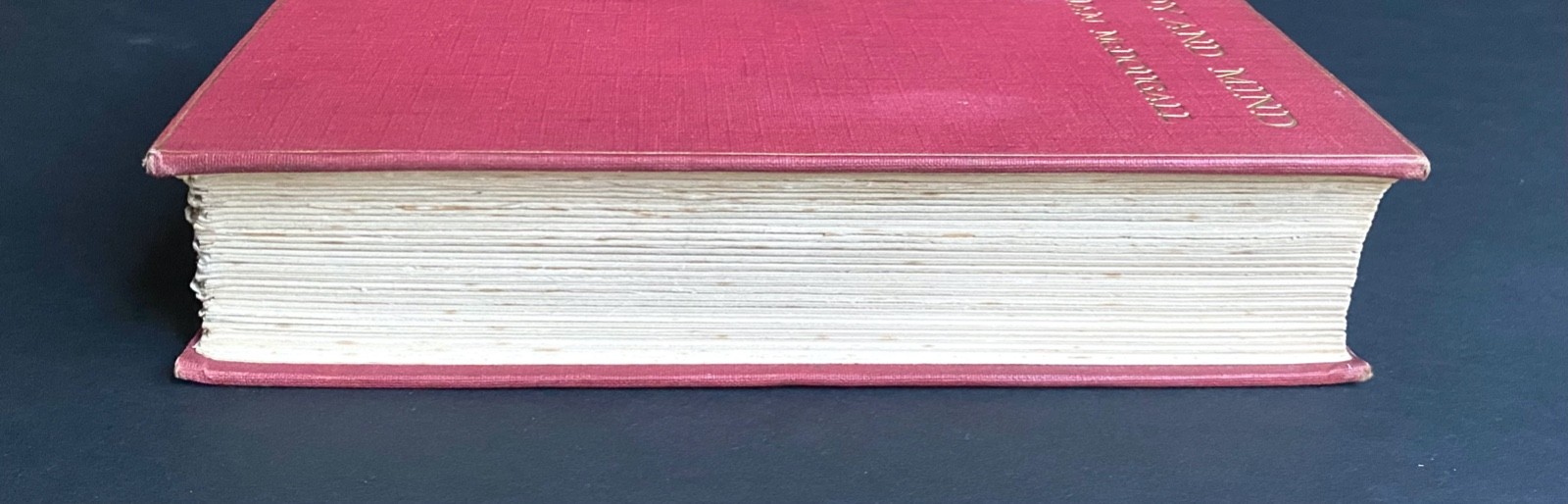 1911 – BODY & MIND – McDougall – 1ST EDITION – Animism – Psychology – Philosophy
