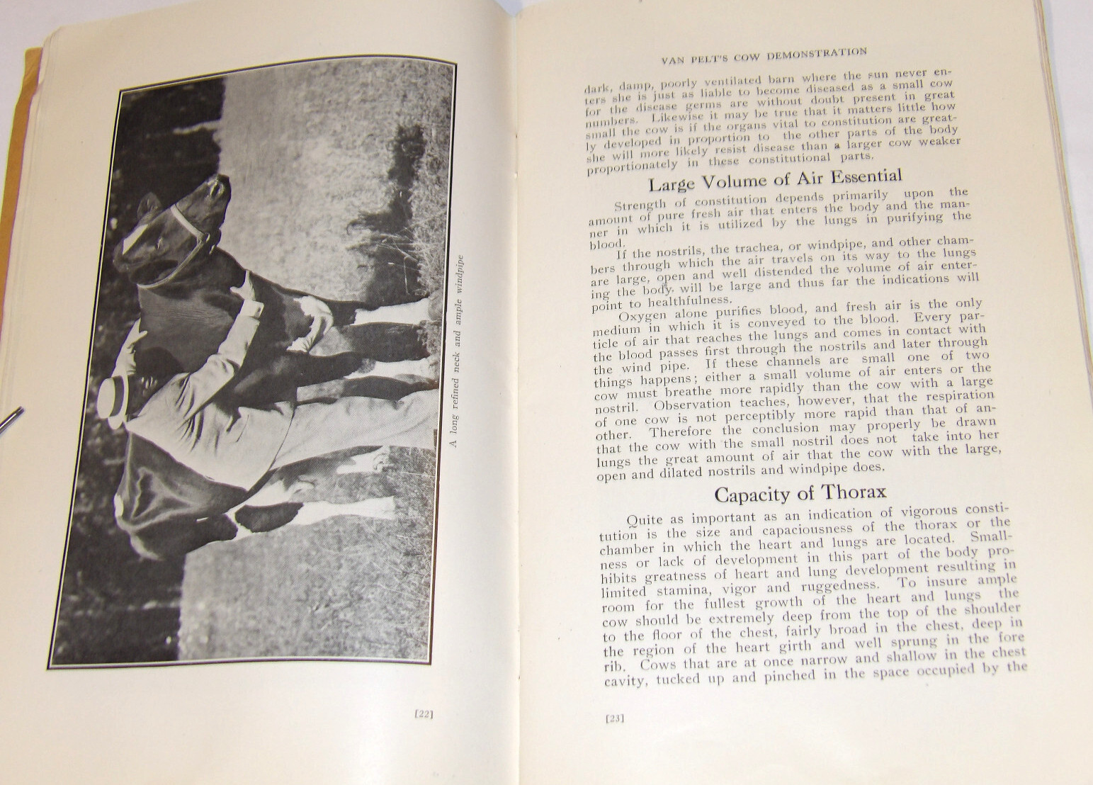 1911 VAN PELT’S COW DEMONSTRATION BOOK! 1st EDITION! ILLUSTRATED! 5 ESSENTIALS!