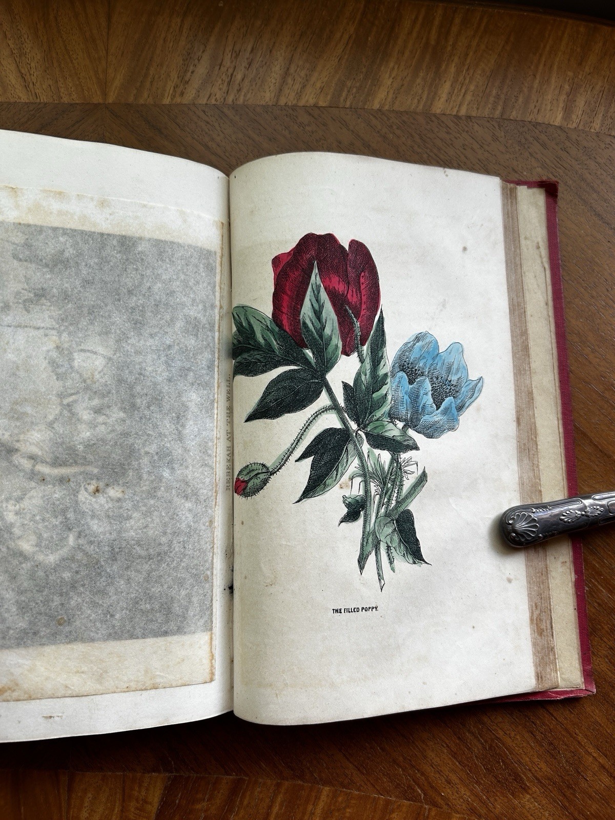 Family Annual Gift Book 1853 Hand Colored Flower Plates Cyrus Stone Pretty Book