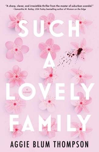 Such a Lovely Family by Aggie Blum Thompson: New