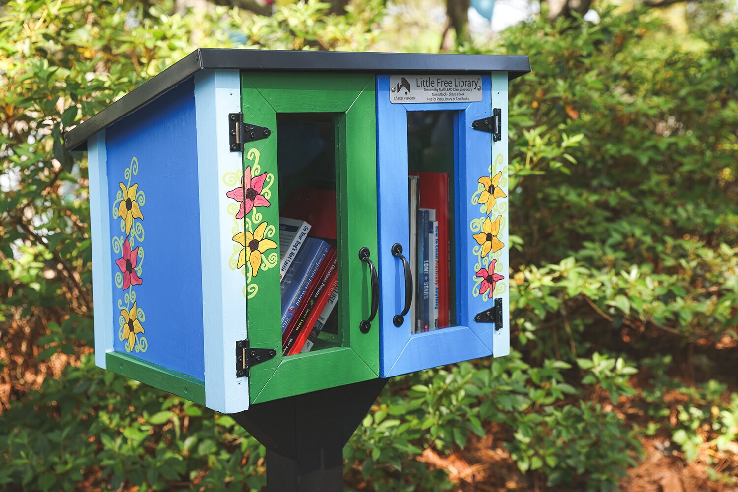 Instant Little FREE Library BOOKs~Value Lot~U PICK GENRE Mix~Fiction/Nonfiction