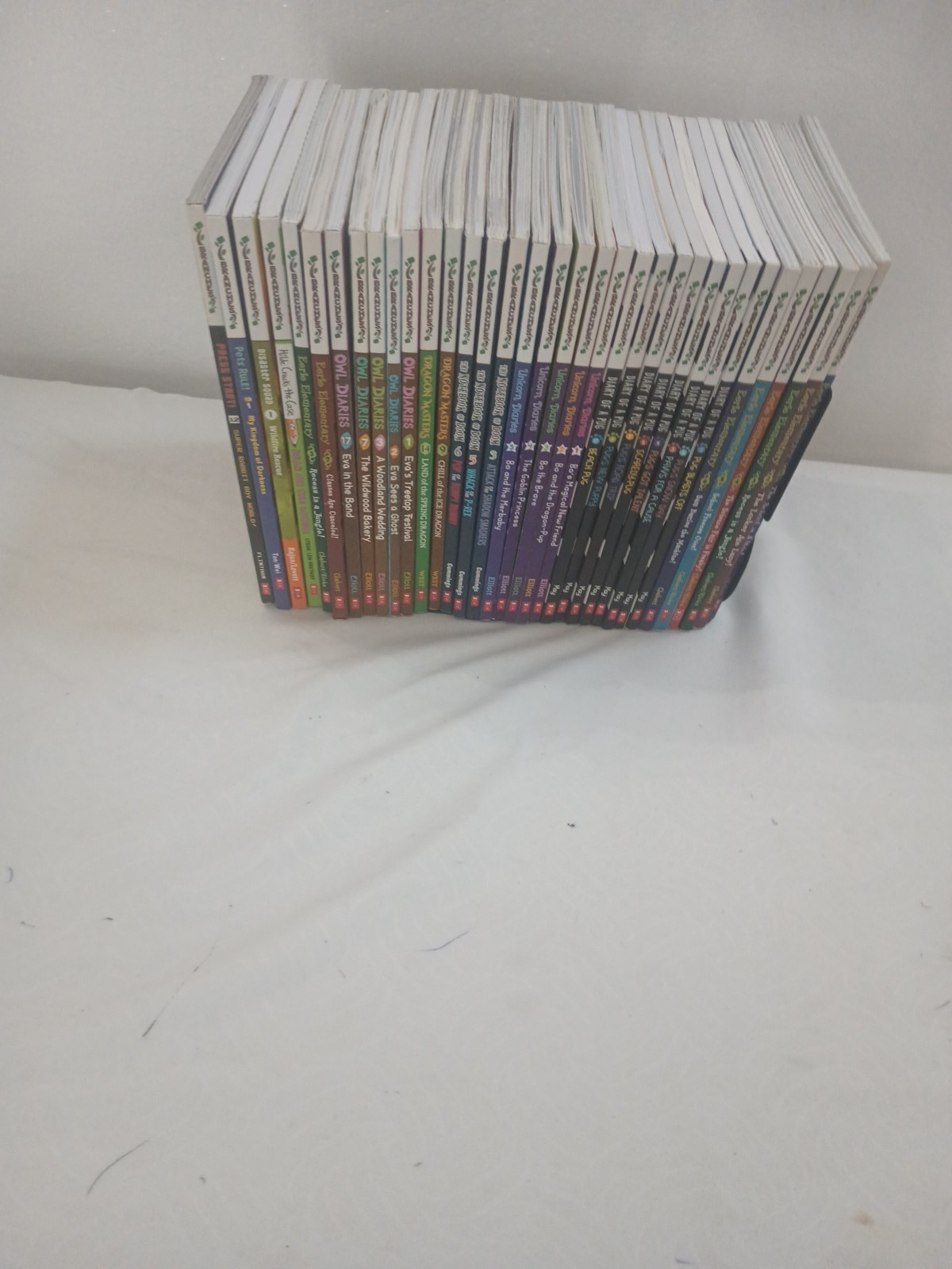 LOT 34 BRANCHES BOOKS: OWL DIARIES,DRAGON MASTERS, DIARY PUG,UNICORN DIARIES.