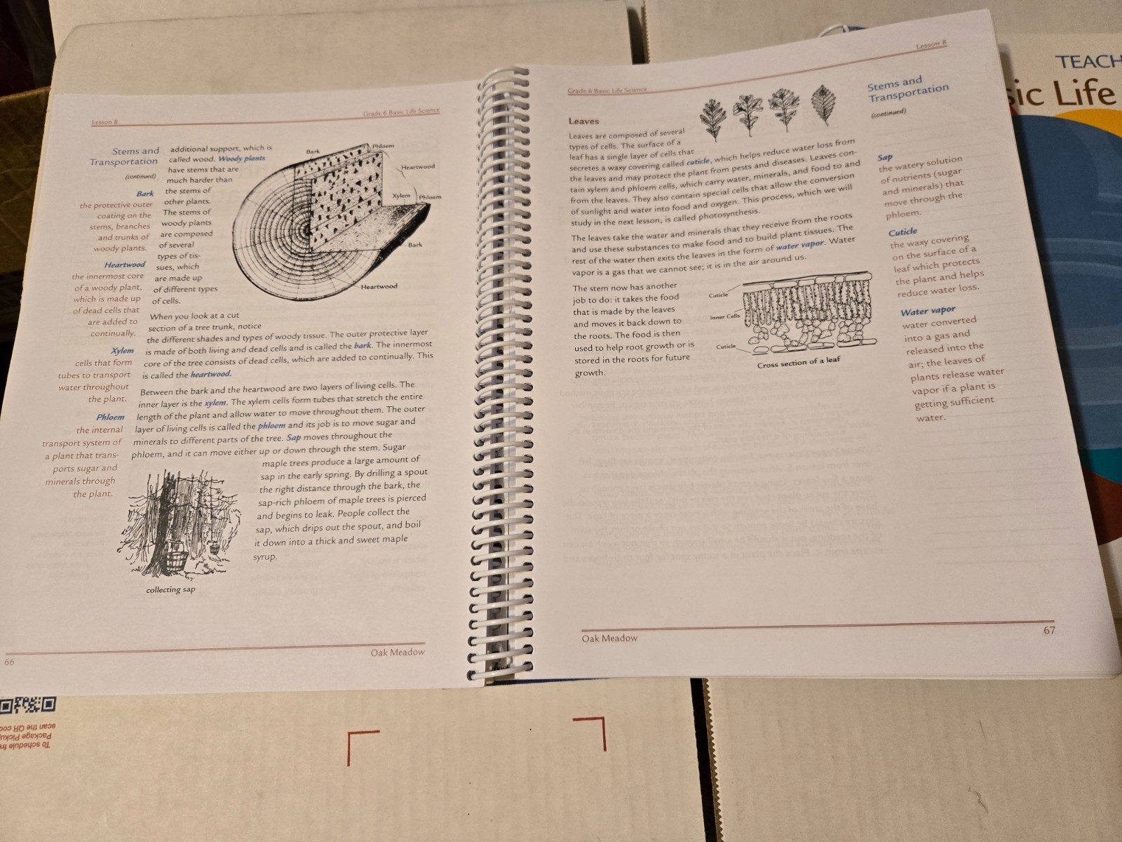 Oak Meadow Grade 6 Basic Life Science Coursebook and Teacher Manual Homeschool