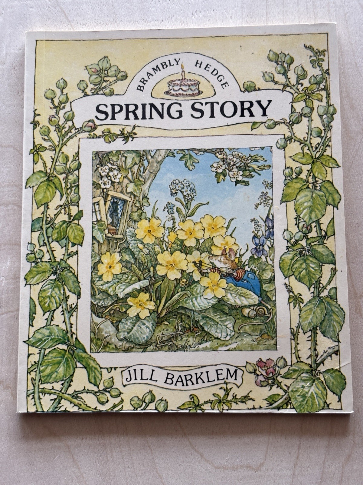 Vintage Brambly Hedge PB LOT of 2 Summer Spring Story Jill Barklem 1987