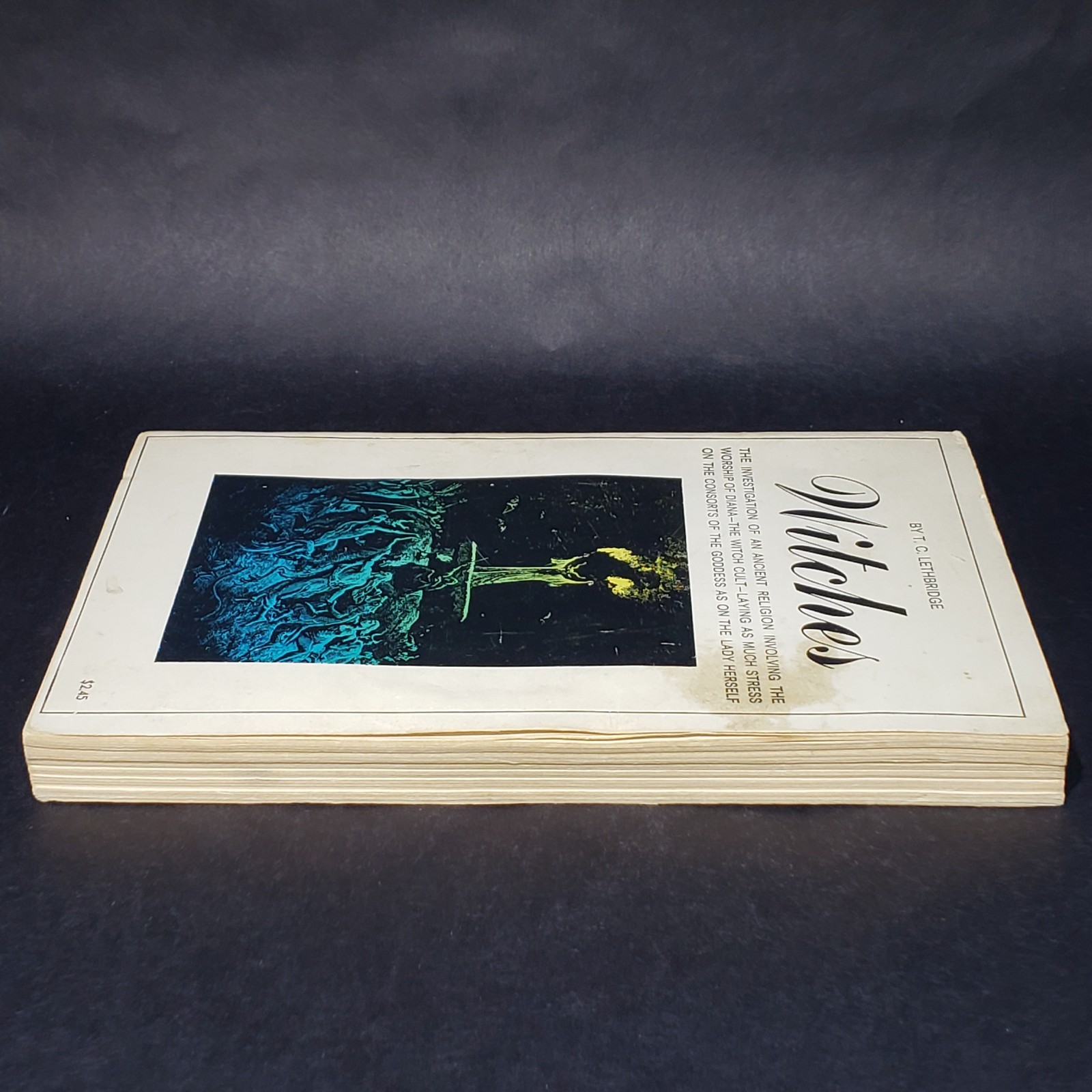 Witches by T. C. Lethbridge First American Printing 1968 TPB Book Citadel Press