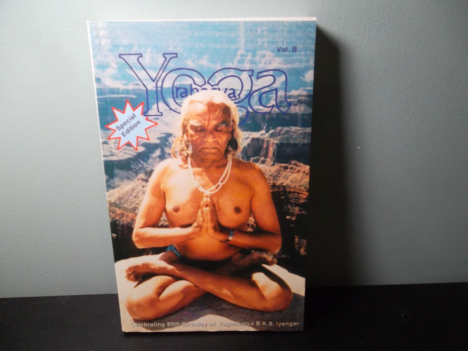 Yoga Rahasya; Volume B by Rajvi H. Mehta (ed.)
