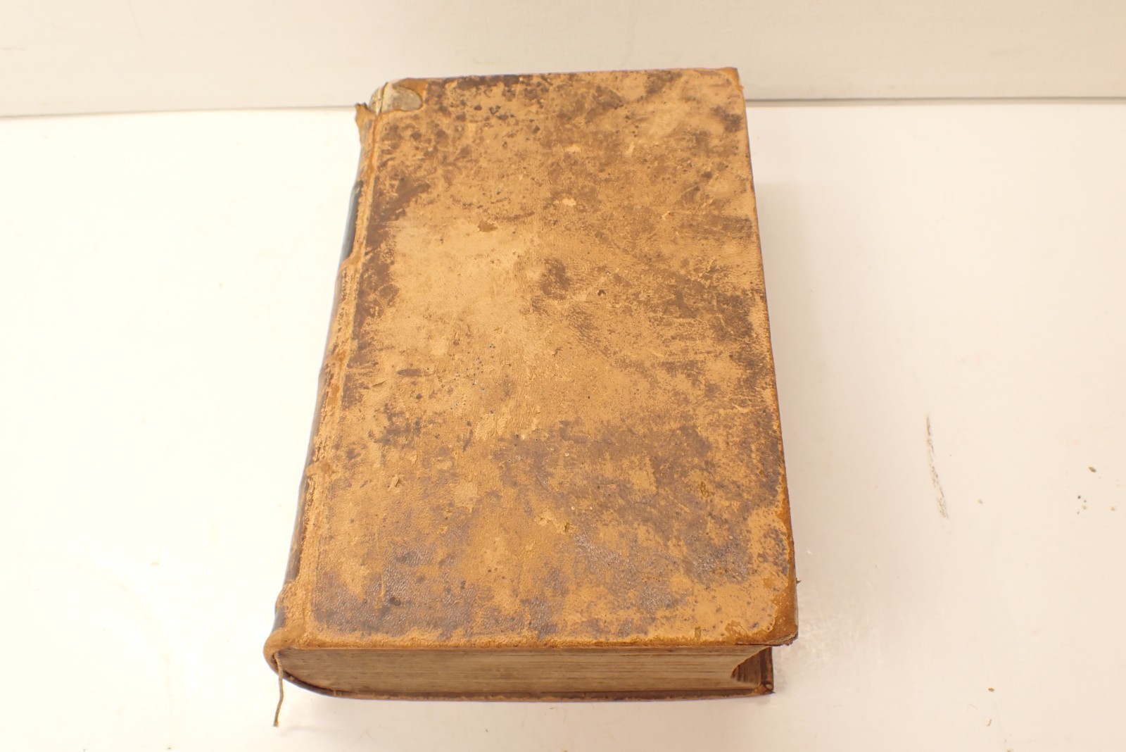 1847 Pre Civil War German Bible Die Bible New York 272 pages