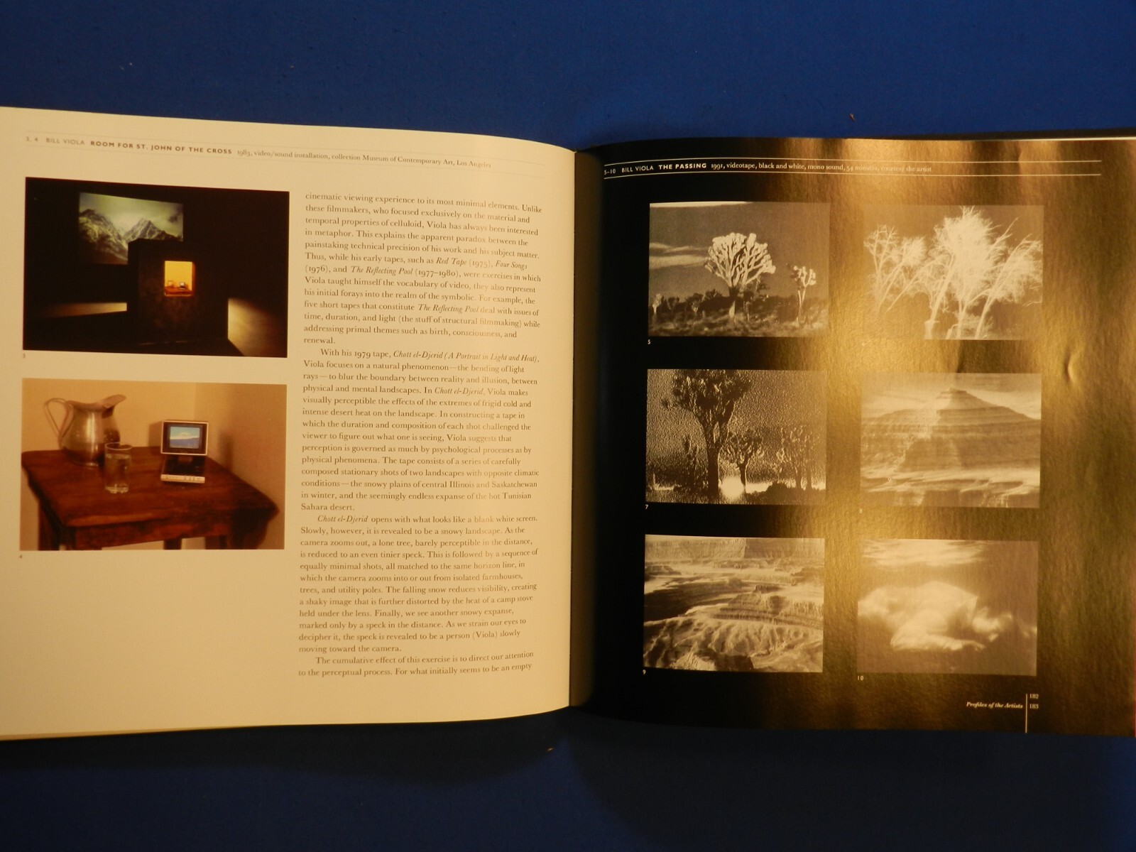VISIONS OF AMERICA. LANDSCAPE AS METAPHOR IN THE LATE 20TH CENTURY. NY, 1994, DJ