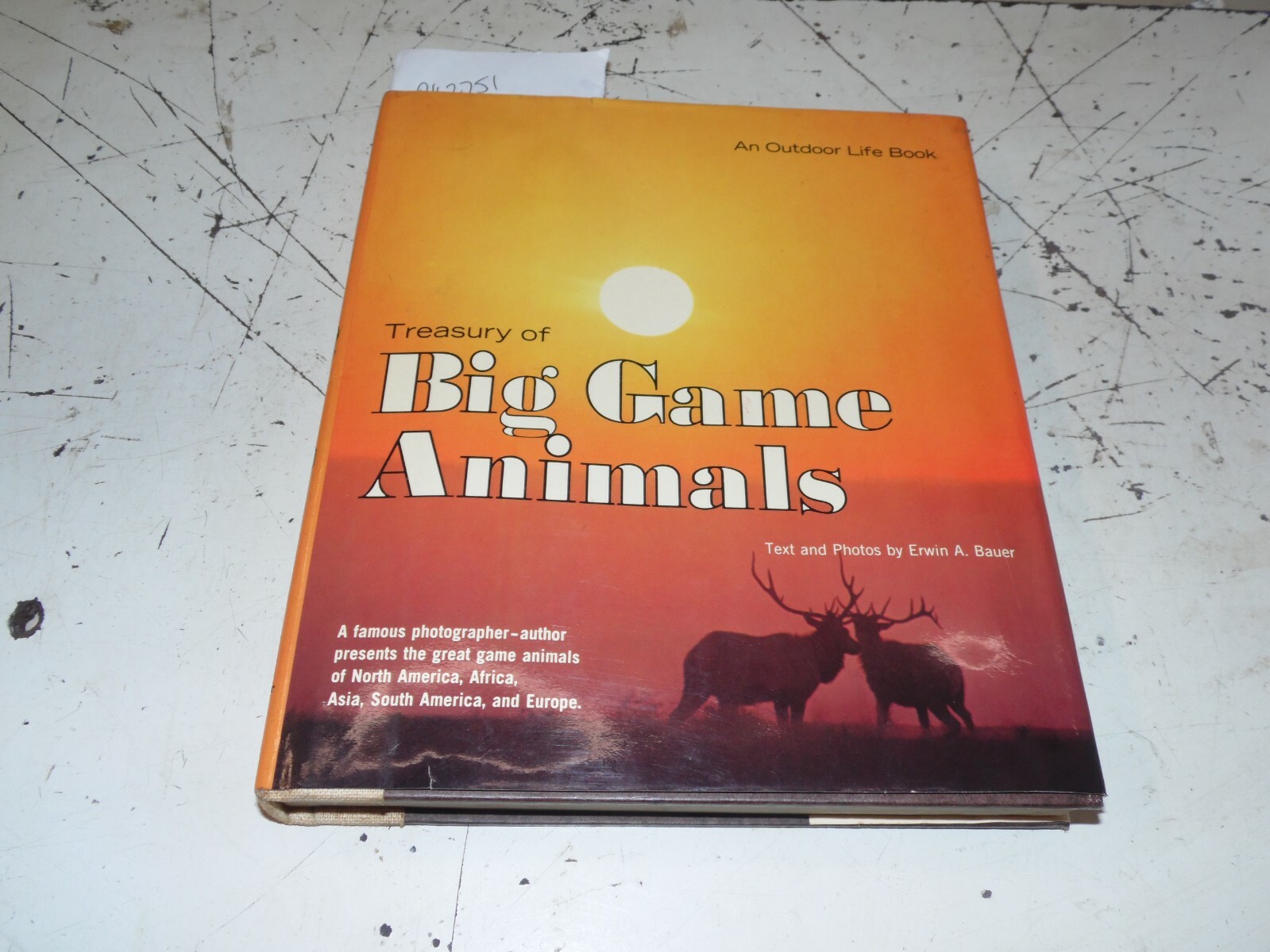 Vintage Treasury of Big Game Animals – Erwin Bauer – 398 Pages
