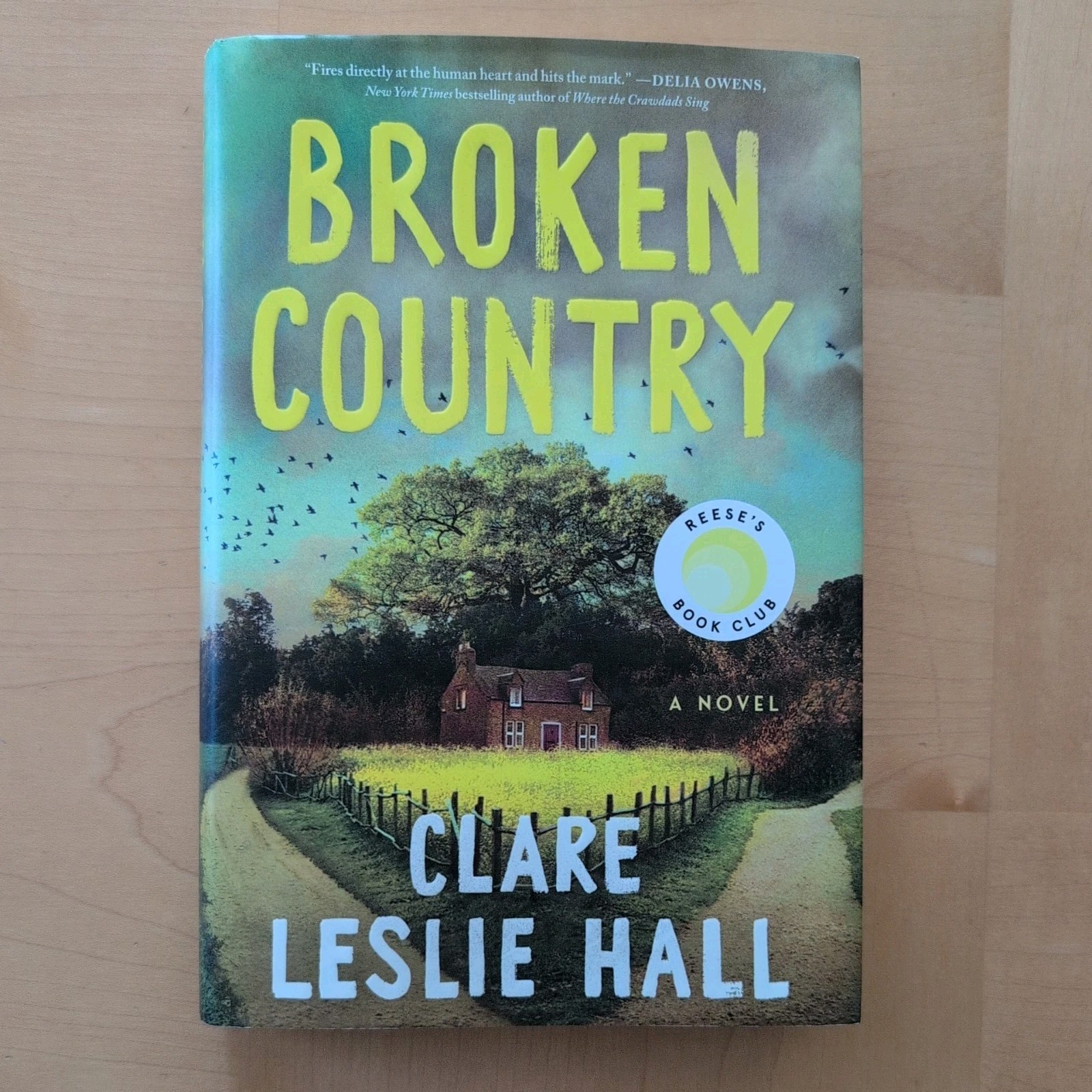 Broken Country by Claire Leslie Hall