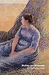 McNay Art Museum: An Introducti- 9781857596649, paperback, McNay Art Museum, new