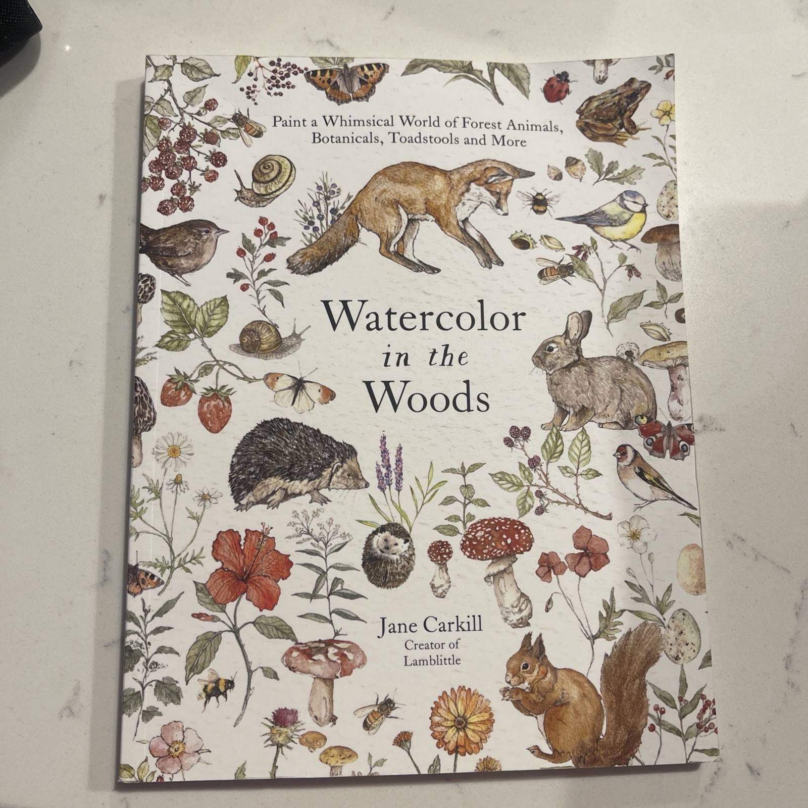 Watercolor in the Woods By Jane Carkill Paint Whimsical World Of Forest Animals