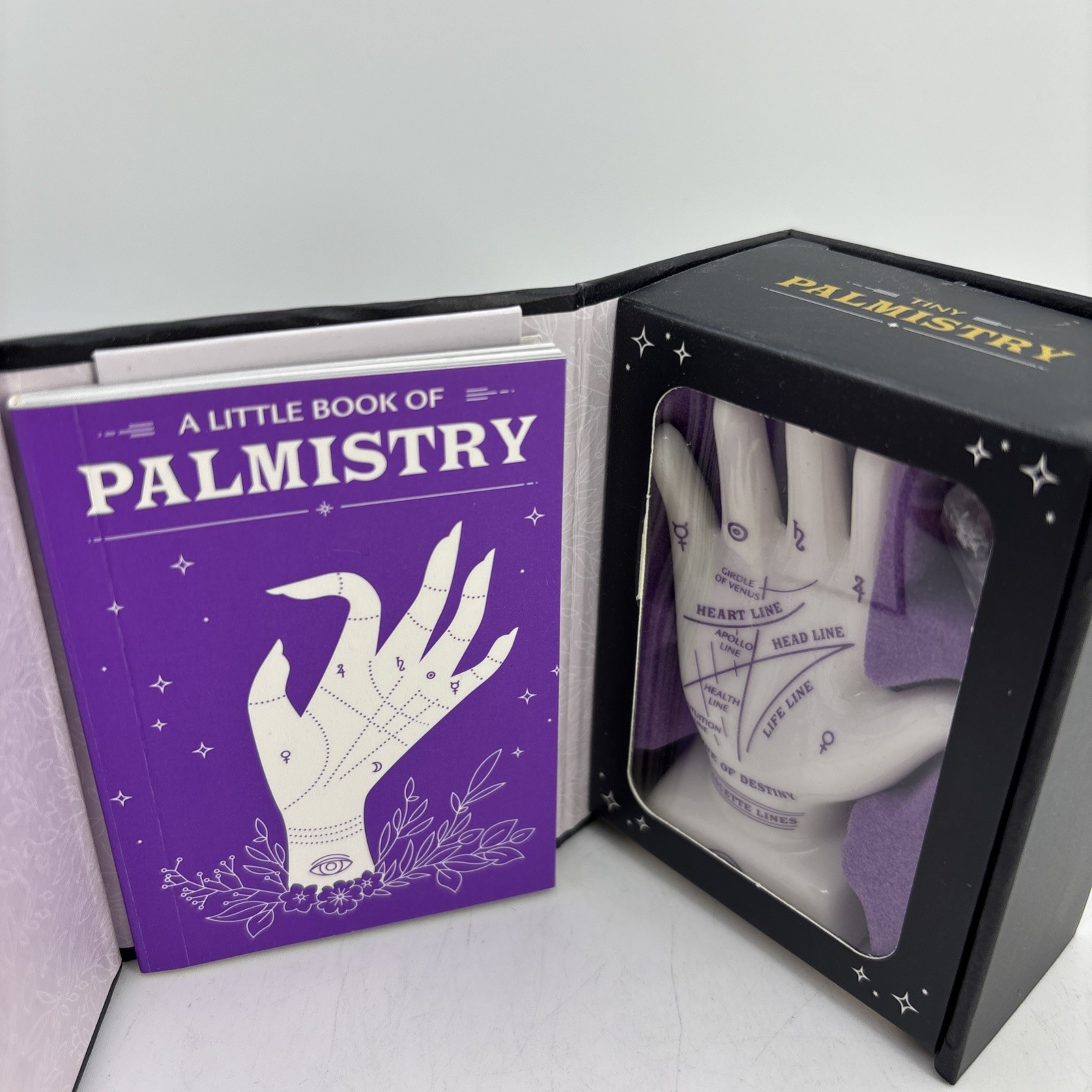Tiny Palmistry Gift Set Read Your Future Hand Book Nikki Van De Car Kit Book