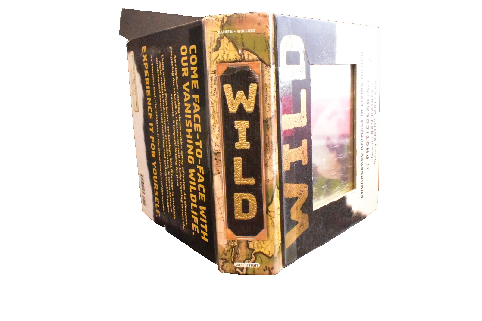 Jungle and Wild by Kathy Wollard and Dan Kainen (2016, Hardcover)
