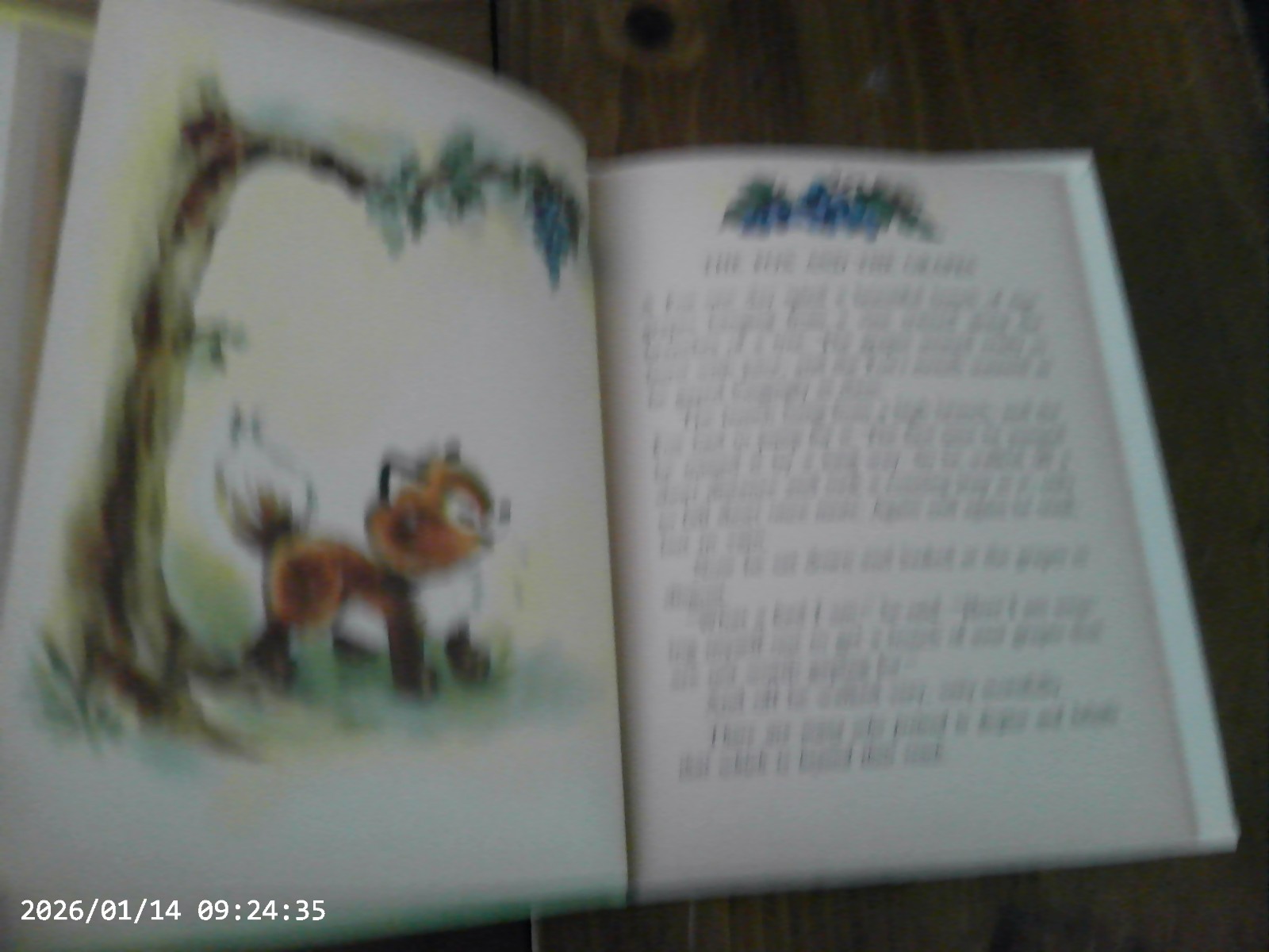 Aesop’s Fables, A Rand McNally Book,1952(VINTAGE Children’s)
