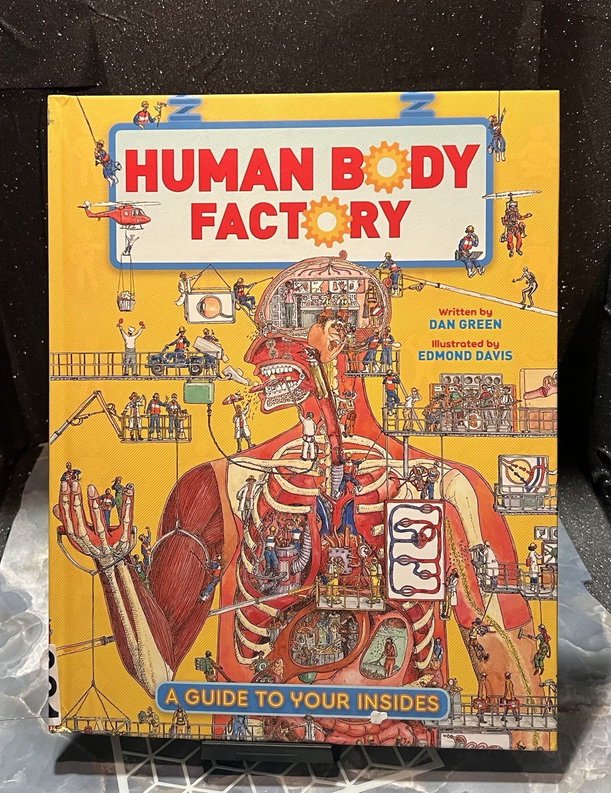 The Human Body Factory: A Guide To Your Insides by Green