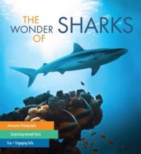 The Wonder of Sharks – Hardcover By Fog CIty – GOOD