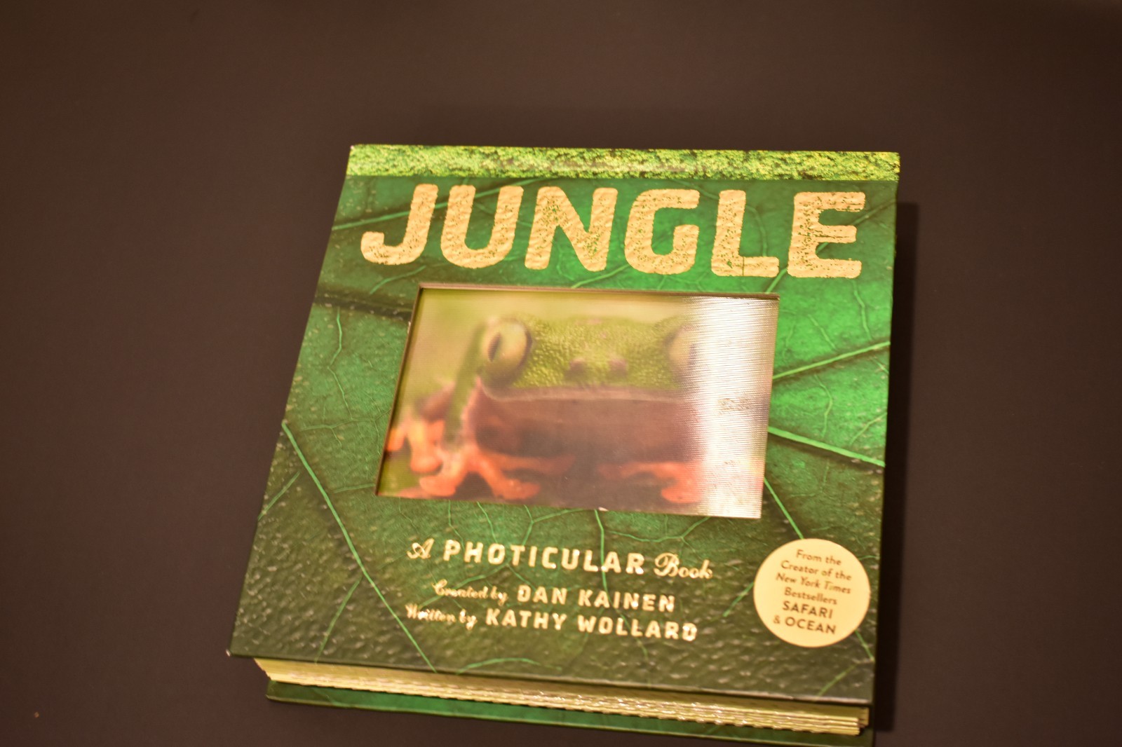Jungle and Wild by Kathy Wollard and Dan Kainen (2016, Hardcover)