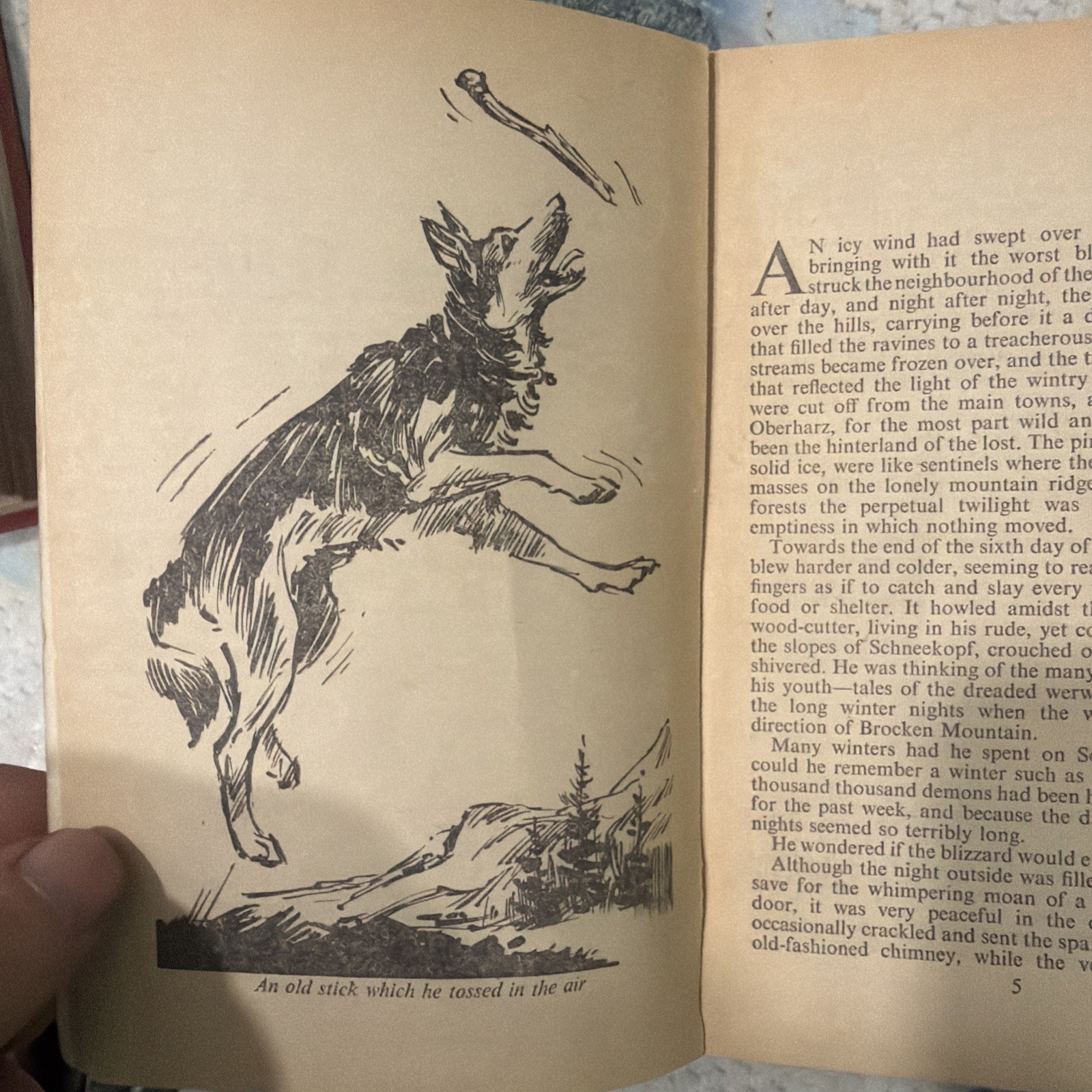 Grey Chieftain Book Joseph Chipperfield Vtg Armada Paperback Dog Alsatian 1965