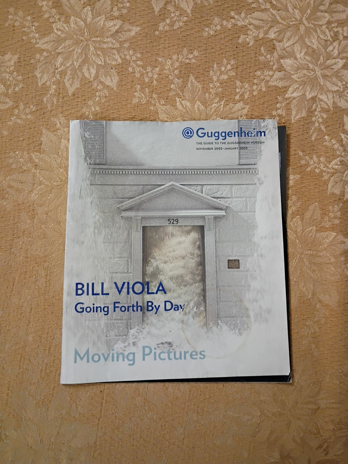 2002 Guggenheim Guide Bill Viola Going Forth By Day Exhibition PB Museum NYC